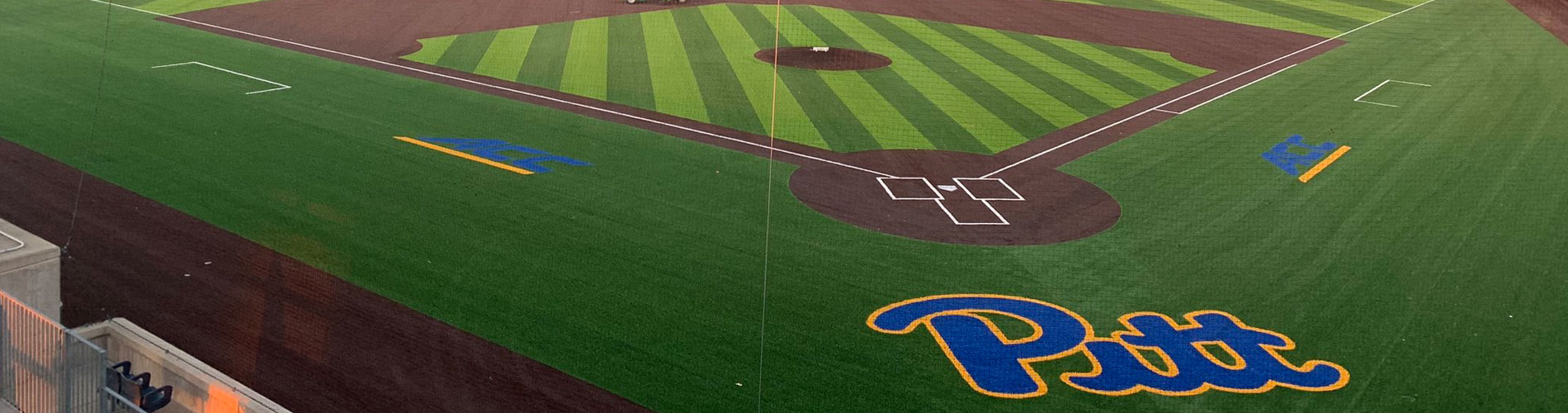 Pitt baseball clearance